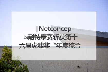 Netconcepts耐特康赛斩获第十六届虎啸奖“年度综合服务商”大奖